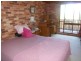 149 Chums Lane, Young NSW 2594