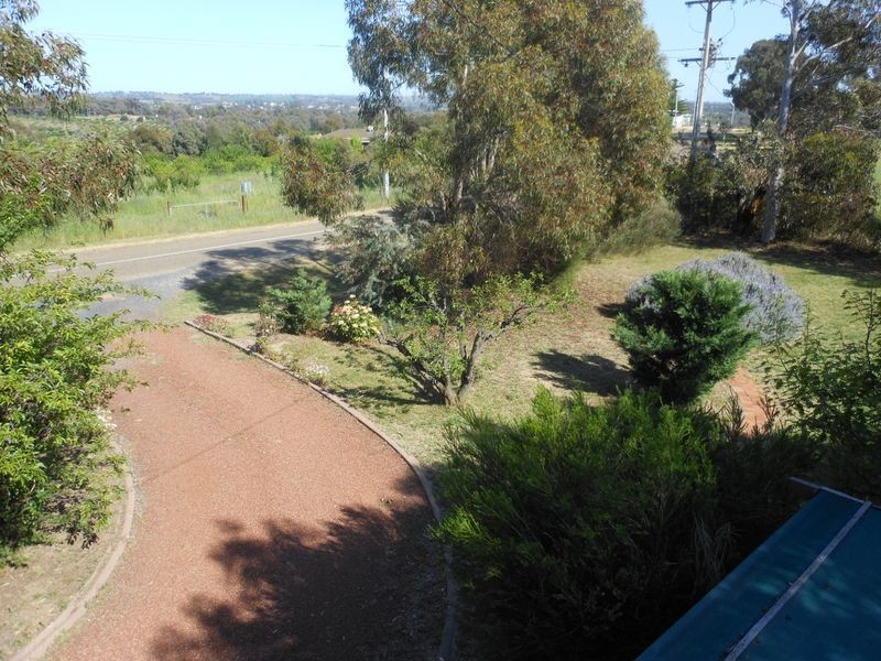 149 Chums Lane, Young NSW 2594