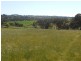 149 Chums Lane, Young NSW 2594
