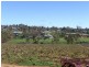88 Willawong Street, Young NSW 2594