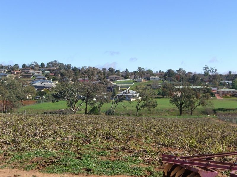 88 Willawong Street, Young NSW 2594
