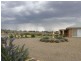 3846 Murringo Road, Young NSW 2594