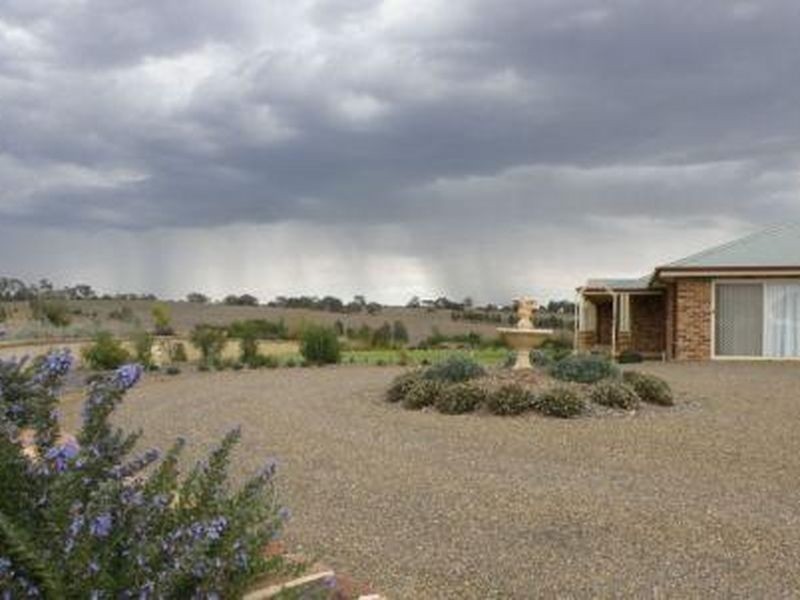 3846 Murringo Road, Young NSW 2594