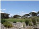 3846 Murringo Road, Young NSW 2594