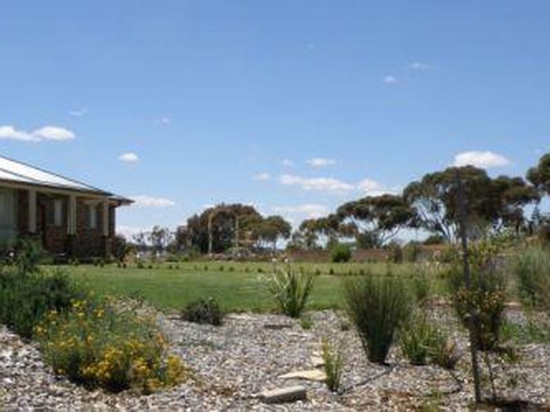 3846 Murringo Road, Young NSW 2594