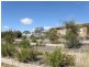 3846 Murringo Road, Young NSW 2594