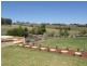 3846 Murringo Road, Young NSW 2594