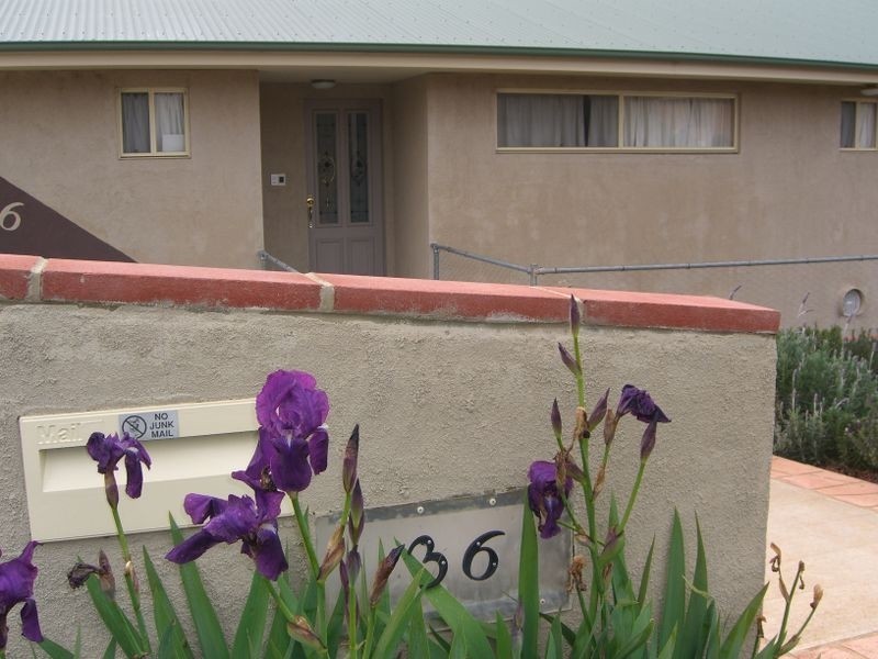 36 Back Creek Road, Young NSW 2594