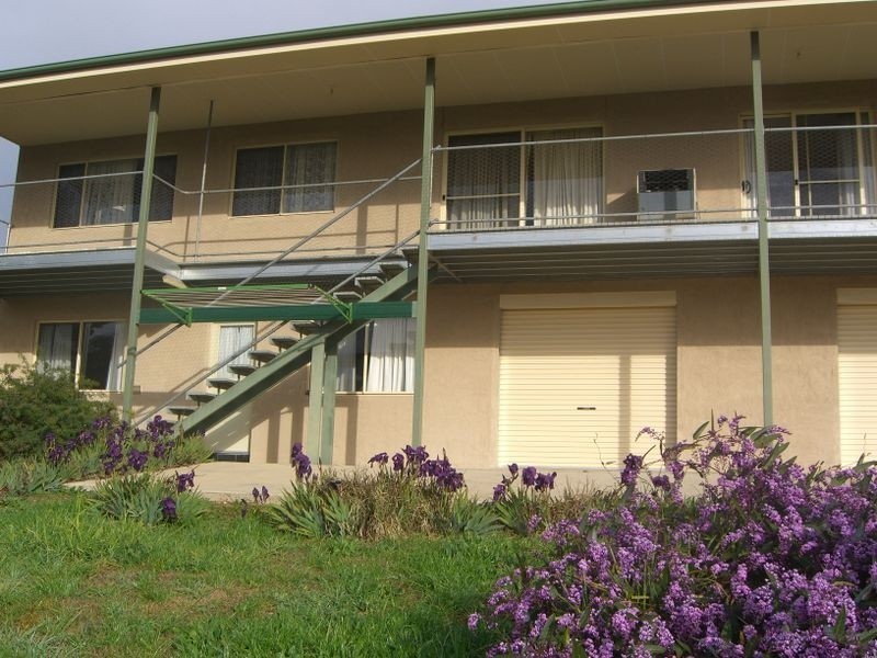 36 Back Creek Road, Young NSW 2594