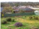 36 Back Creek Road, Young NSW 2594