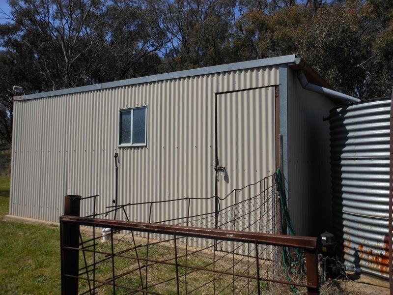 4150 Wombat Road, Young NSW 2594