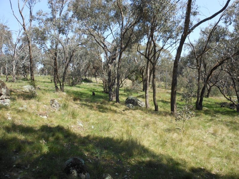 4150 Wombat Road, Young NSW 2594