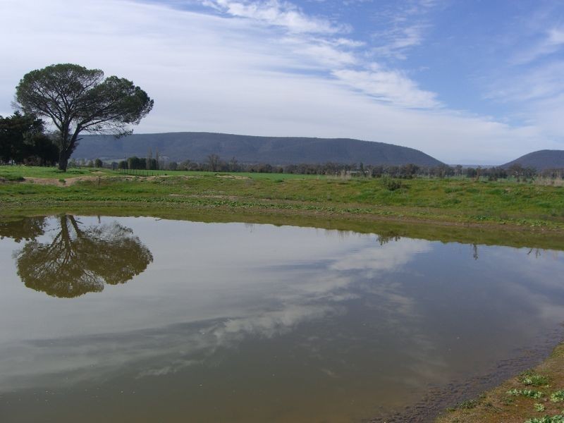 ROSE VALLE 91 Mountain View Road, Young NSW 2594