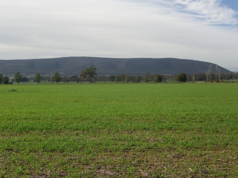 ROSE VALLE 91 Mountain View Road, Young NSW 2594