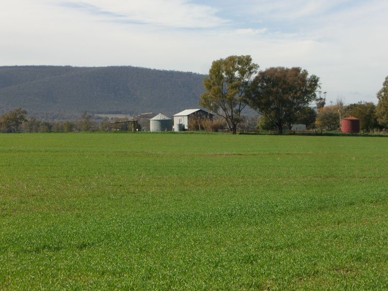 ROSE VALLE 91 Mountain View Road, Young NSW 2594