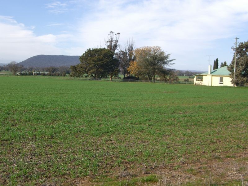 ROSE VALLE 91 Mountain View Road, Young NSW 2594