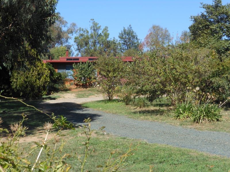 4 Tipperary Lane, Young NSW 2594