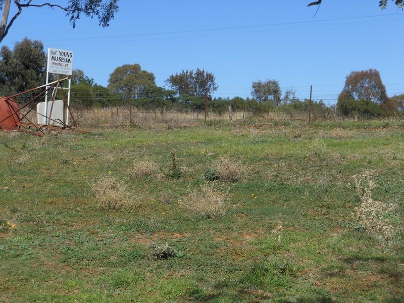 4 Tipperary Lane, Young NSW 2594