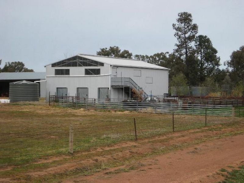 00 ALTON PARK Schillers Road, Young NSW 2594