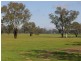 00 ALTON PARK Schillers Road, Young NSW 2594