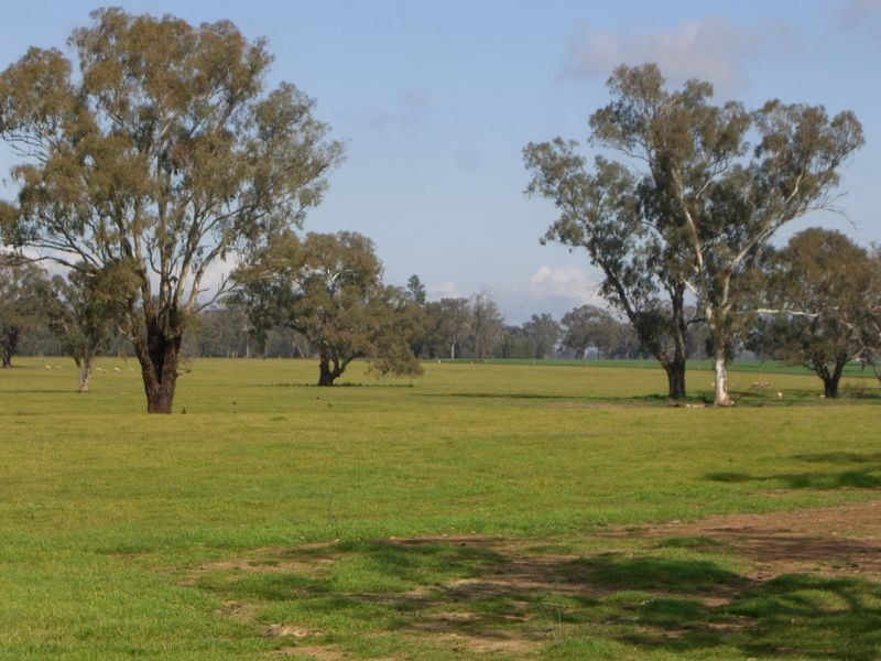 00 ALTON PARK Schillers Road, Young NSW 2594