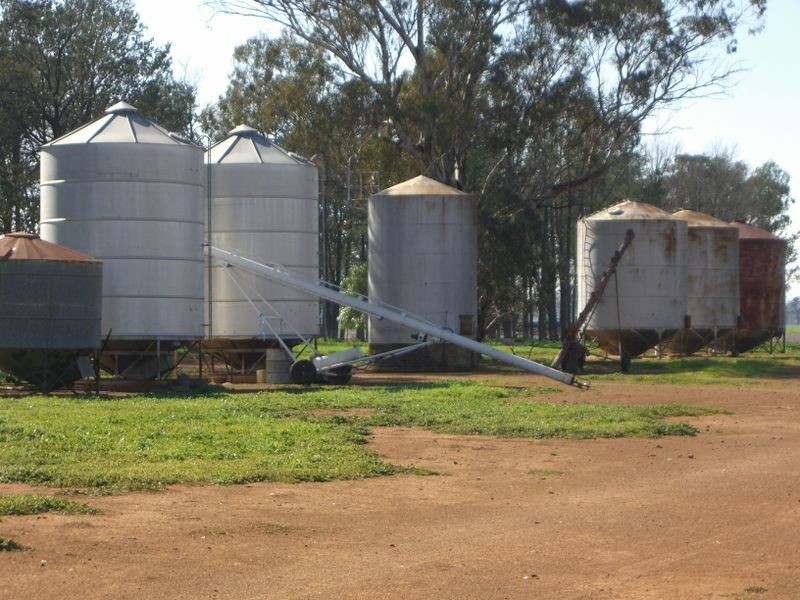 00 ALTON PARK Schillers Road, Young NSW 2594