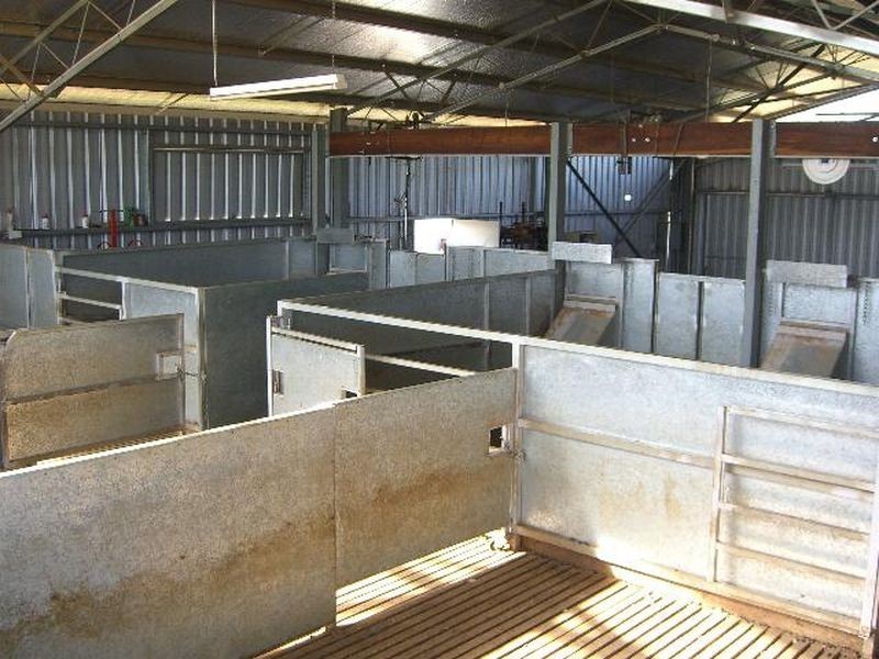 00 ALTON PARK Schillers Road, Young NSW 2594