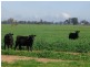 00 ALTON PARK Schillers Road, Young NSW 2594