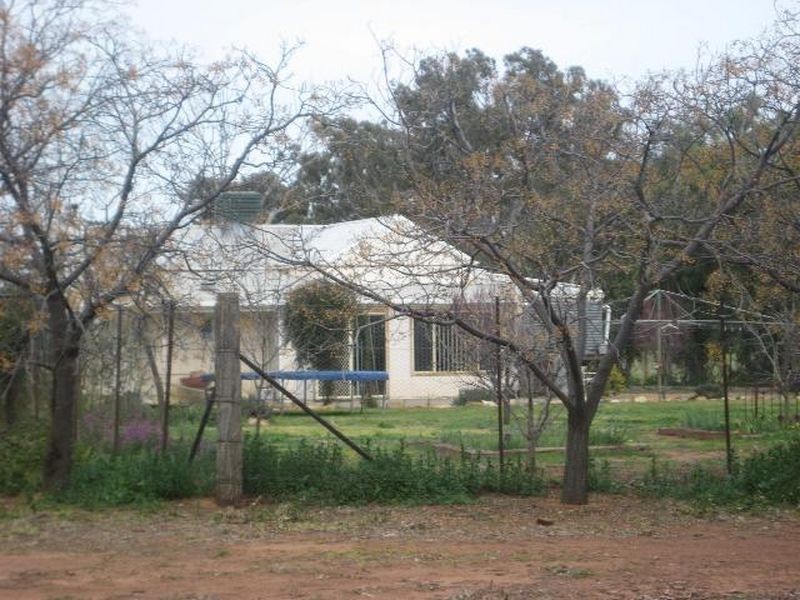 00 ALTON PARK Schillers Road, Young NSW 2594