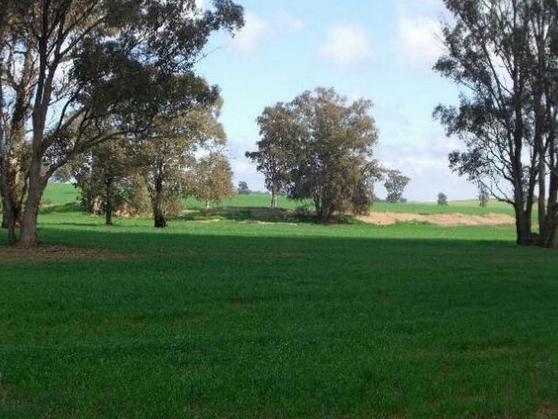 00 SALCOATS Dirnaseer Road, Young NSW 2594