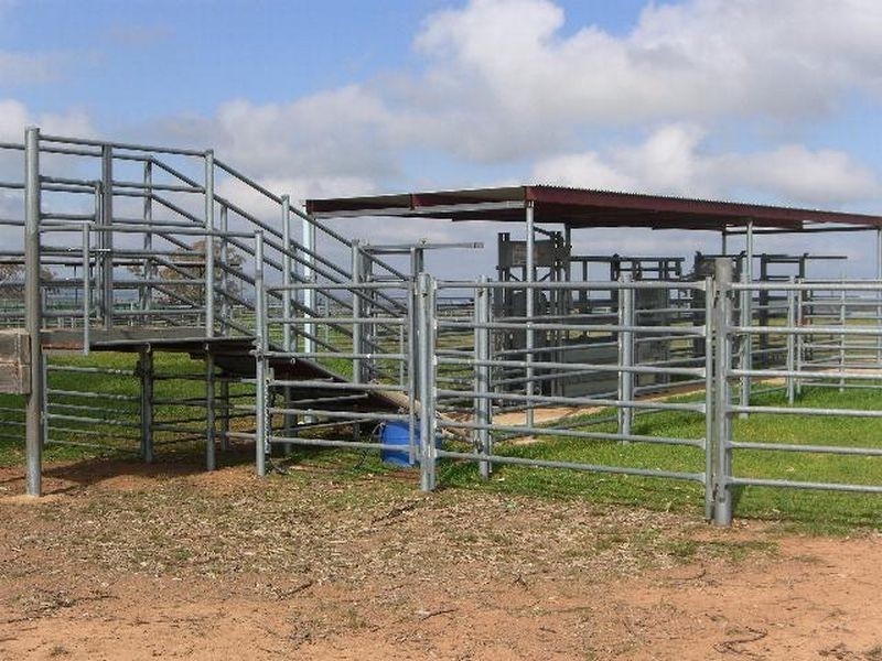 00 SALCOATS Dirnaseer Road, Young NSW 2594