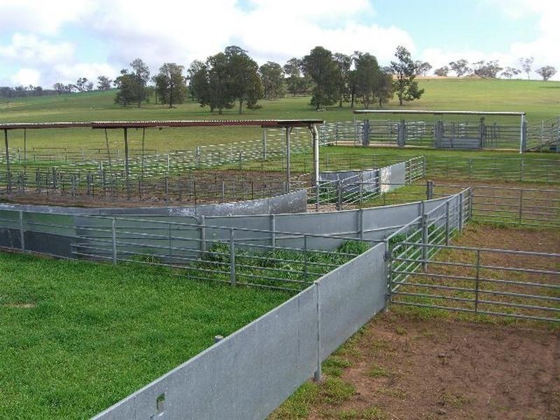 00 SALCOATS Dirnaseer Road, Young NSW 2594