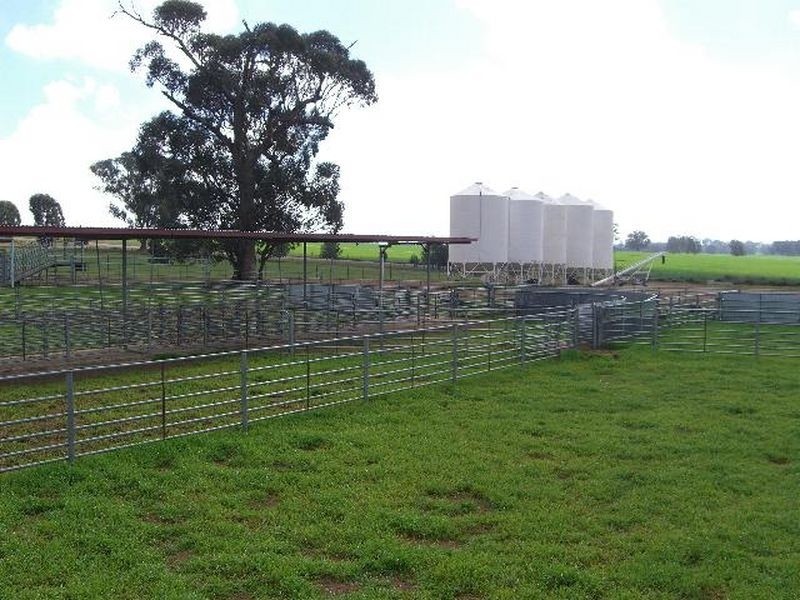 00 SALCOATS Dirnaseer Road, Young NSW 2594