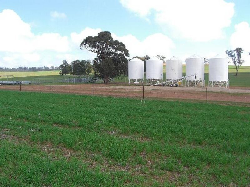 00 SALCOATS Dirnaseer Road, Young NSW 2594