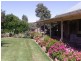 1200 Boundry Road – Glenede, Young NSW 2594