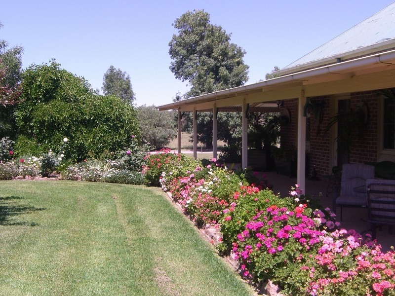 1200 Boundry Road – Glenede, Young NSW 2594