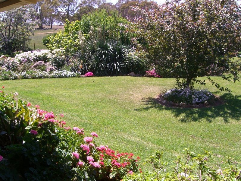 1200 Boundry Road – Glenede, Young NSW 2594