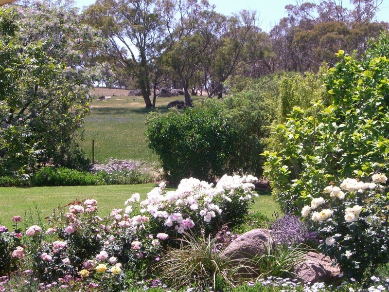 1200 Boundry Road – Glenede, Young NSW 2594