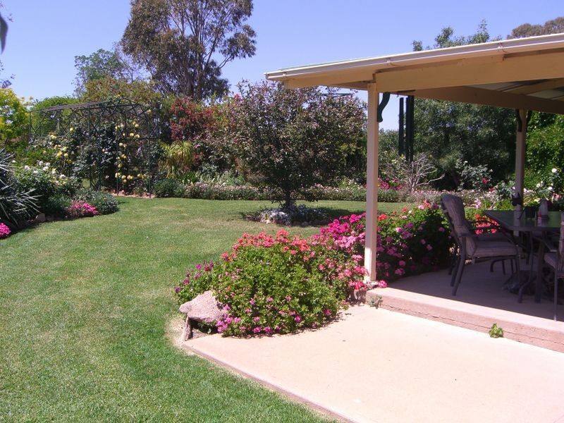 1200 Boundry Road – Glenede, Young NSW 2594