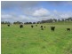 1200 Boundry Road – Glenede, Young NSW 2594