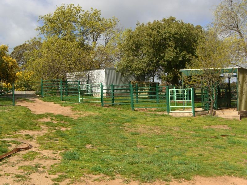 1200 Boundry Road – Glenede, Young NSW 2594