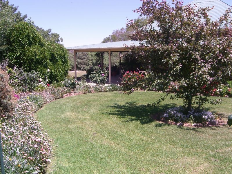 1200 Boundry Road – Glenede, Young NSW 2594