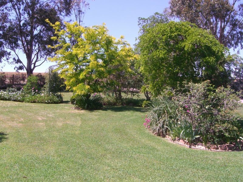 1200 Boundry Road – Glenede, Young NSW 2594