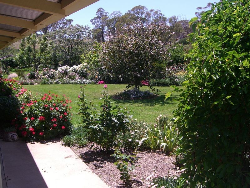 1200 Boundry Road – Glenede, Young NSW 2594