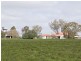 00 LALOKI STOCKINBINGAL, Young NSW 2594