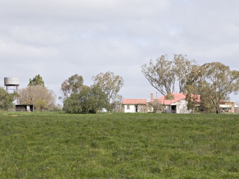 00 LALOKI STOCKINBINGAL, Young NSW 2594