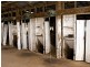 00 LALOKI STOCKINBINGAL, Young NSW 2594