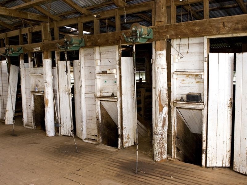 00 LALOKI STOCKINBINGAL, Young NSW 2594