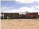 00 LALOKI STOCKINBINGAL, Young NSW 2594