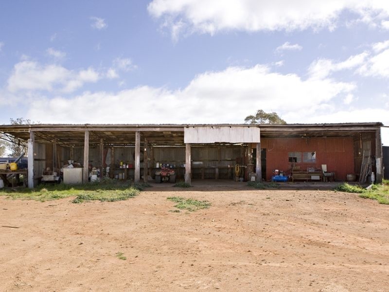 00 LALOKI STOCKINBINGAL, Young NSW 2594